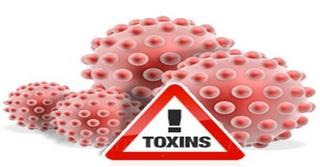Как вывести токсины из организма
